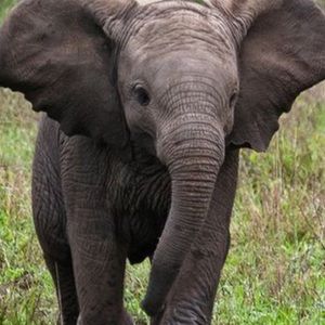 Meet your Posher, Lucy